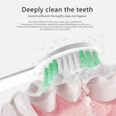 SmartSonic+ Sonic vibration electric toothbrush head, Electric toothbrush r K1Z2