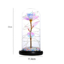 Beautiful Eternal Rose LED Light Rose In Glass Dome with Foam for Valentine'P6E2