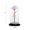 Beautiful Eternal Rose LED Light Rose In Glass Dome with Foam for Valentine'P6E2