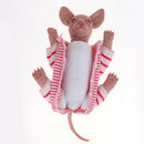 Knitted Rompers Clothes for 18" Reborn  Cat Mold Canadian Hairless Cat