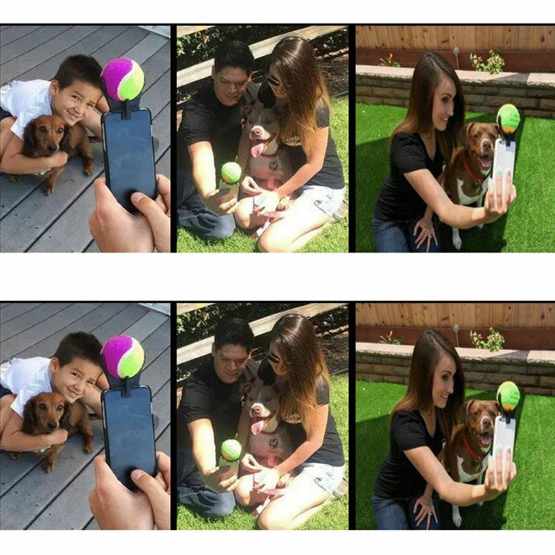 Smartphone Attachment Selfie Stick for Pet Xmas gift The Best Dog Selfies! Q7W5