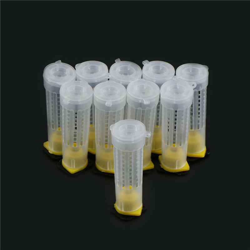10X Beekeeping Rearing Cup Kit Bee Queen Cages Roller Beekeeper Equipm Ew