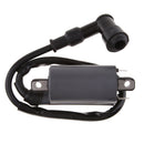 Ignition Coil Module for Buyang 300CC D300 G300 H300 ATV Quad BUGGY Black