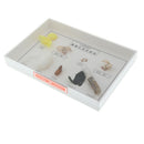 Lifecycle of Silkworm Specimens Taxidermy Framed Collectible, 7.5x5x1.2inch