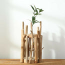 Glass Test Tube Planter Vase in Wooden Stand Flower Pot Scindapsus Container