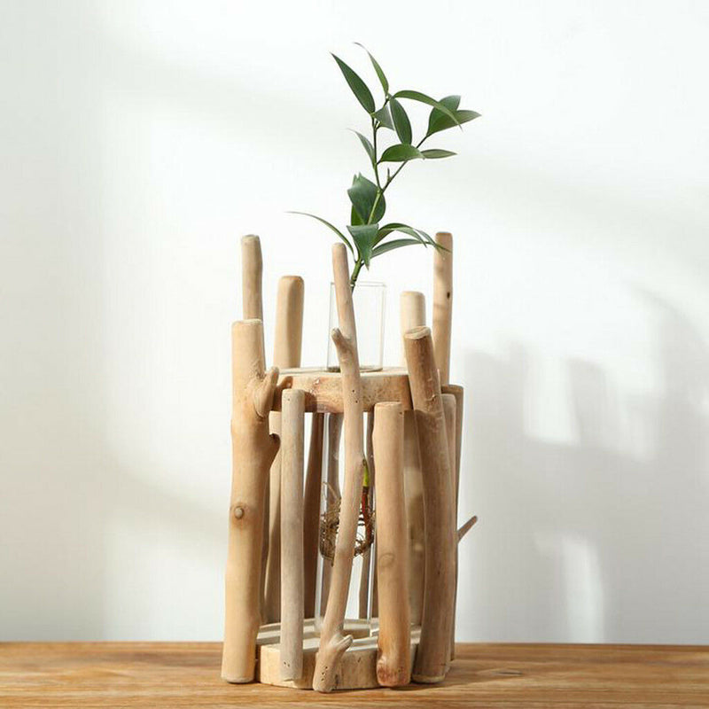 Glass Test Tube Planter Vase in Wooden Stand Flower Pot Scindapsus Container