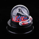 Electric Shake Lucky Number Ball Machine for Business Promotion Activity