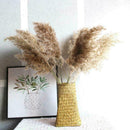 10 Pcs Natural Big Reed Grass Bunch Dried Flower Bouquet Wedding Decor 55cm Set