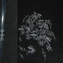 20 Pcs 4mm Dia Straight 2 Way Aquarium Fish Tank Air Line Connector