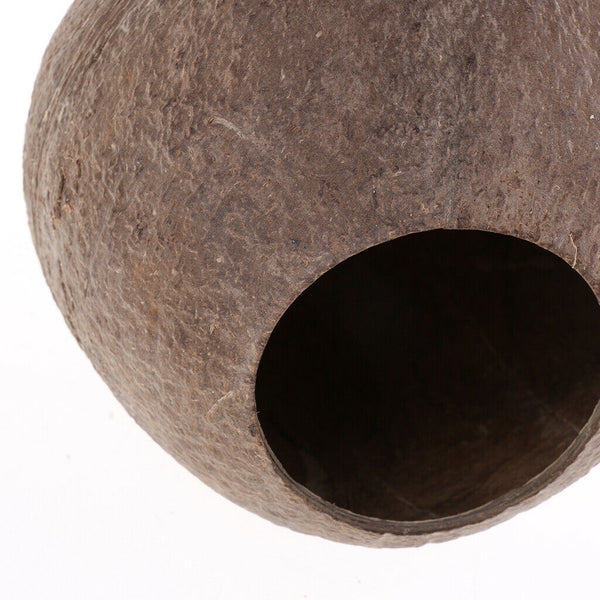 Natural Coconut Shell Bird Nest Cage Feeder Hanging Standing Toys Parrot