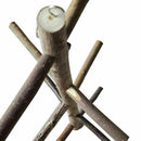 Parrot Bird Perch Stand Play Fun Toys Gym Wooden Activity Plays Cage Branch