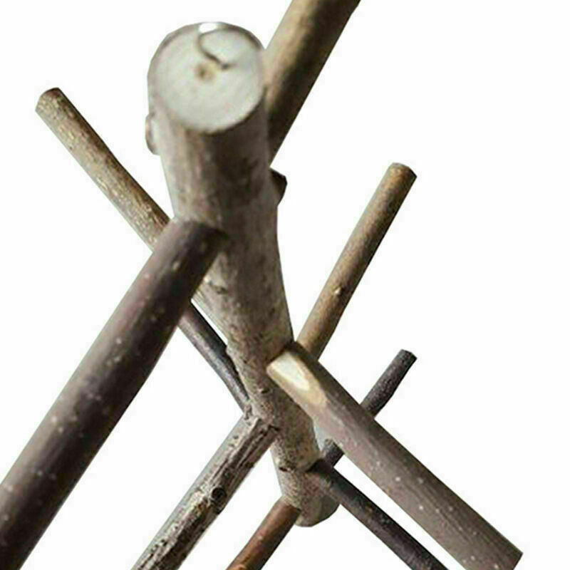 Parrot Bird Perch Stand Play Fun Toys Gym Wooden Activity Plays Cage Branch