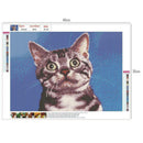 5D DIY Full Drill Diamond Painting Cross Stitch Embroidery Kits (Look Cat)