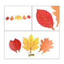 220cm Autumn 6 Maple Leaf Thanksgiving Day Wedding Hanging Holiday Decoratio Hn