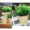 Flameer Shabby Chic Iron Flower Buckets Plants Planter Pot Bucket Flower Va