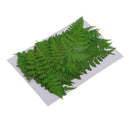 12Pcs Pressed Leaves Dried Flowers for Scrapbook Card Art Craft DIY Material