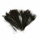 50pcs Natural Peacock Tail Feathers (Big Eyed) about 26-30cm E5N4