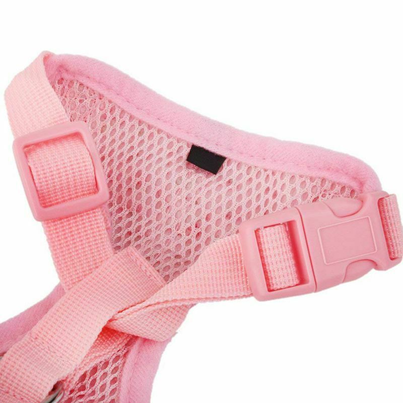 Floral Pattern Tiny Small Dog Harness Leash Lead Walking Chest Strap (S, Pi