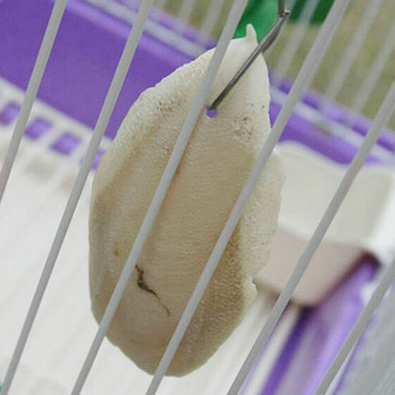 One Bag Cuttle Fish Cuttlefish Bone Rabbits Tortoise Parrotts Birds Molar Food