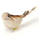 12pcs Artificial Bird Simulation Color Feather DIY Craft Wedding Home Decor