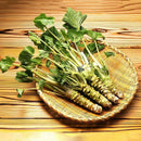 100 Wasabi Seeds Japanese mustard Horseradish Vegetable Seeds garden plant LJ