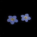 100pcs Natural Dried Flower Forget-me-not DIY Phone Case Decor Embellishment