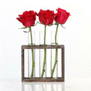 Test Tube Glass Vase Hydroponic Vase Wooden Frame Tabletop Vase Stand 3 Tube
