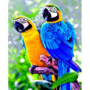 Stamped Cross Stitch Parrot Embroidery 14CT DIY Needlework 46x36cm (SZX023)