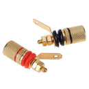 2pcs Screw Plated Speaker Binding Posts Terminal 4mm Sockets for Banana Plugs