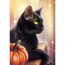 5D DIY Full Drill Diamond Painting Black Cat Cross Stitch Embroidery Mosaic