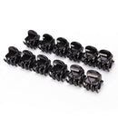 Fashion Women Girls 12pcs Black Plastic Mini Hairpin 6 Claws Hair Clip Clamp  Gn