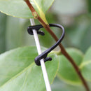 50pcs Grape Support Vine Clips Garden Plants Vegetables Fixed Buckle Hook