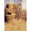 Autumn Village Photography Backdrops Photo Background Studio Video Decor