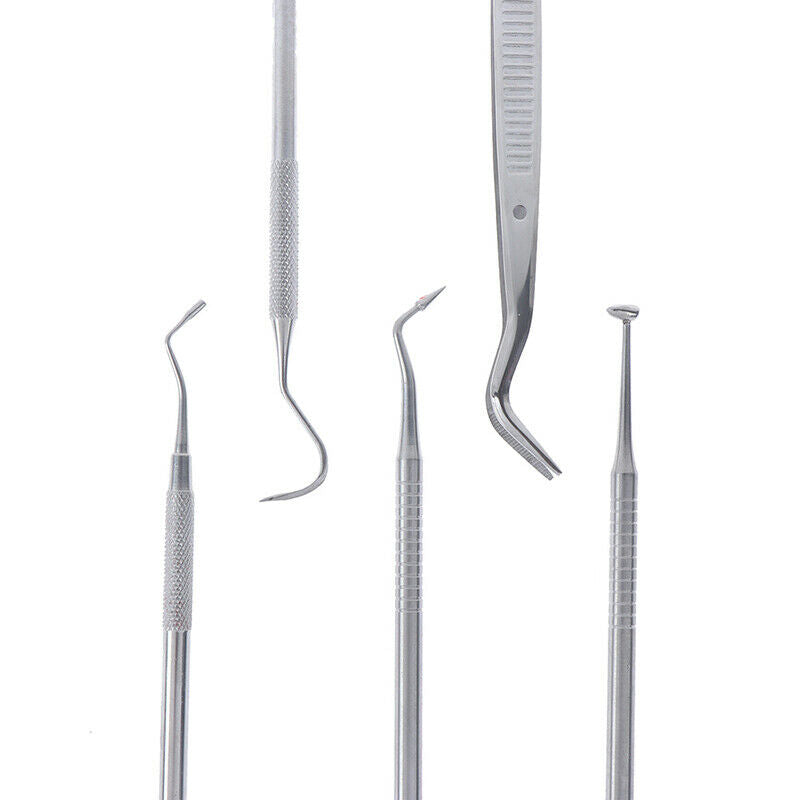10 piece stainless steel tooth care probe dental tool set BX
