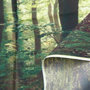 5x3ft Photography Backdrop Vinyl Autumn Sunrise Scenery Forest Decor