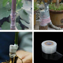 3cm*120m Self-adhesive Fruit Tree Grafting Stretchable Tape Garden Plants ToolM&