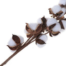 Naturally Dried Cotton Stems Artificial Flower Floral Decor Valentines L_XR3C