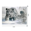Snow Leopard 5D Diamond DIY Painting  Kit Home Decor Craft