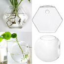 Pack of 2 Hanging Hexagon Glass Terrarium - Heat Resistant, Handmade, Air Plant