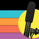 Interview Camera Microphone Video Windshield Mic for DSLR Camera DV 3.5mm