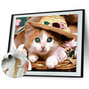 DIY Digital Oil Painting By Numbers Animal Drawing Picture Modern Wall Art A