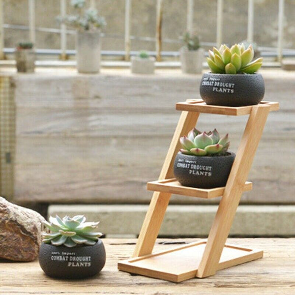 1 Set Cement Succulent Planter Pot Geometric Flower Pot 3 Bonsai Cactus Pla