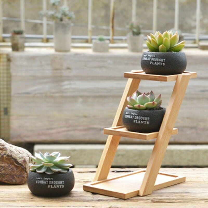 1 Set Cement Succulent Planter Pot Geometric Flower Pot 3 Bonsai Cactus Pla