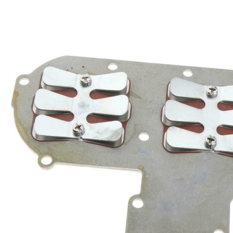 Reed Valve Assy for Yamaha 689-13610-01-00,Boat Engine Parts