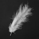 100pcs Fluffy Marabou Feathers Party Wedding Trim Trimming Decor DIY 8-15