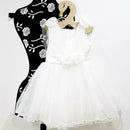Child Clothes Hangers Ins Nordic Style Wooden Swan Art Crafts Home Decor
