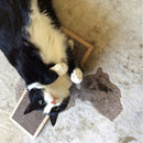 Pet Cat Scratching Board Scratcher Matstle Bed Pad WithCatnip Toys