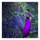 5D DIY Full Drill Diamond Animal Painting Embroidery Kit Mosaic Art Craft