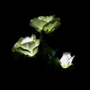 3 Head White Rose Flower Solar Light Outdoor Lawn Lamp Ip65 Waterproof Lamp