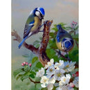 Diamond Painting Cross Stitch Birds Diamond Embroidery Animals 5D Diy Full  A2B2